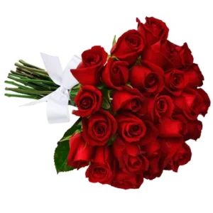 26109gg.webp