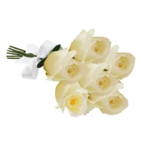 26140gg.webp
