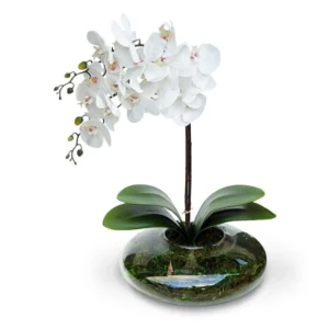 5193253610 1.webp