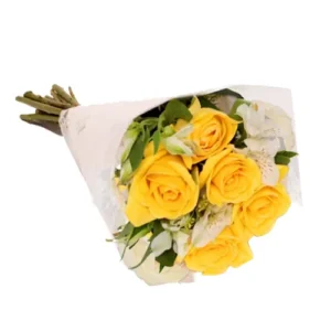 img 3413.webp