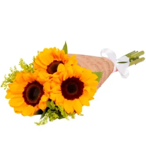 img 3416.webp