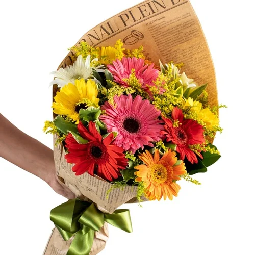 img 3424.webp img 3424.webp
